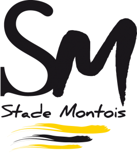 Stade Montois (club omnisports)